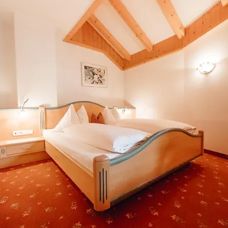 Aparthotel Dandler - Und Fieberbrunn